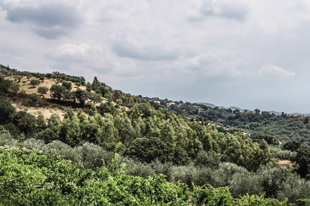 Agriturismo Miracco Atanasio Franco "Il Maniero" Santa Sofia d'Epiro Екстериор снимка