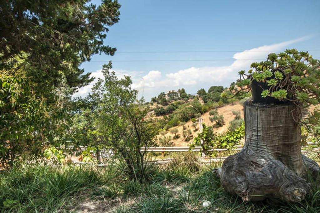 Agriturismo Miracco Atanasio Franco "Il Maniero" Santa Sofia d'Epiro Екстериор снимка